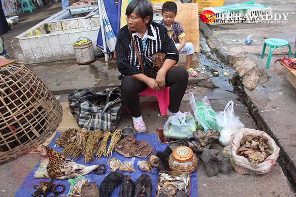 မြန်မာ ကျားနှင့် ရှားပါးတိရစ္ဆာန် , တရုတ် , TRAFFIC