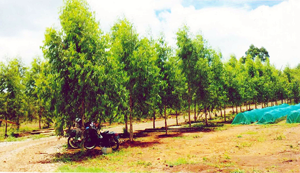 သဘာဝ ပတ်ဝန်းကျင်