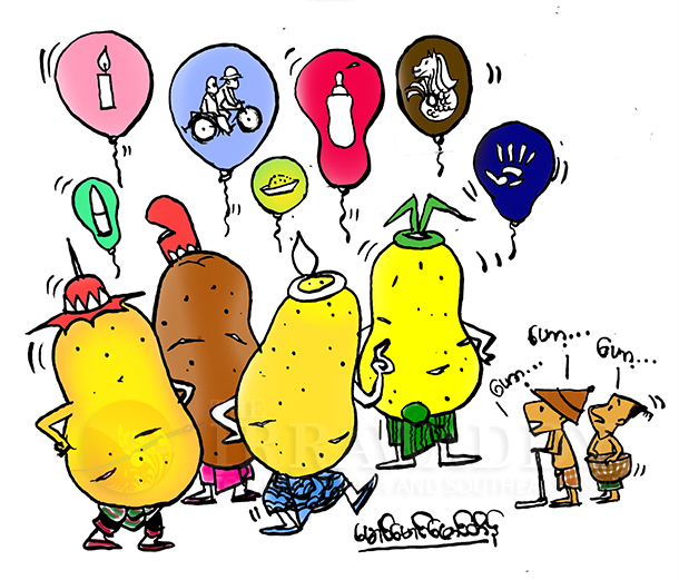 နိုင်ငံရေး, ပြည်သူ