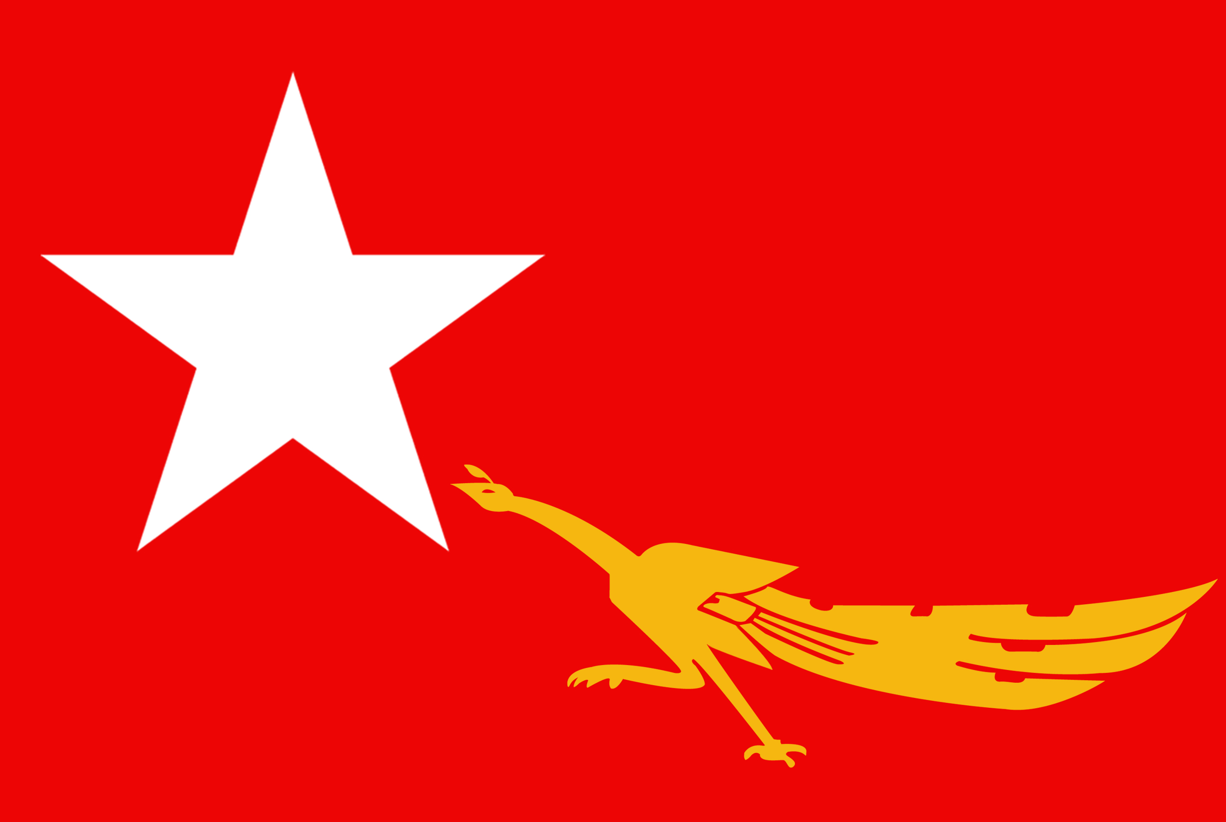 အမျိုးသားဒီမိုကရေစီ အဖွဲ့ချုပ် (NLD) Flag