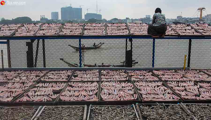 / ချမ်းစွန်း / ဧရာဝတီ