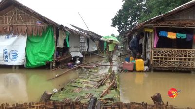 ရခိုင်မြောက်ပိုင်း အင်တာနက်ပိတ်ခံရမှု ပြန်ဖွင့်ပေးရန် အရေးကြီးအဆို တင်ခွင့်မရ ဟုဆို (ရုပ်/သံ)