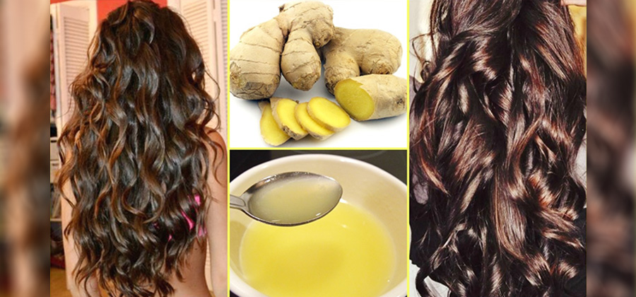 ချင်းဟာ ဆံပင်ကျွတ်ခြင်းကို သက်သာစေနိုင်ပြီး ဆံပင်တွေကို သန်စွမ်းစေနိုင်ပါတယ်