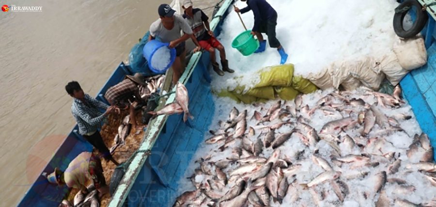 မြန်မာ့ရေထွက်ပို့ုကုန် တင်ပို့မှု ၅ နှစ် အတွင်း စံချိန်တင်မြင့်တက်