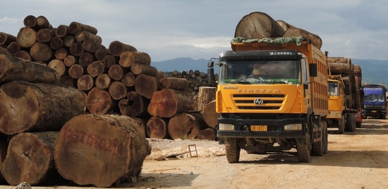 ၂၀၁၅ ခုနှစ်အတွင်း ဖြတ်တောက်ထားသော ကျွန်းသစ် သစ်လုံးပုံများကို တွေ့ရစဉ်