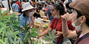 ၂၀၂၁ ခုနှစ်က ဘန်ကောက်ရှိ ကုန်စည်ပြပွဲတခုတွင် ဆေးခြောက်ရွက်ပါဝင်သည့် လက်ဖက်ရည်ကို မိတ်ဆက်ရောင်းချစဉ် / AFP