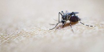 ကရင်ပြည်နယ်တဝန်းတွင် ၂၀၂၃ ခုနှစ်၊ ဇန်နဝါရီလအတွင်း ငှက်ဖျားရောဂါ ဖြစ်ပွားမှု ၄,၅၁၀ ရှိပြီး ၂၀၂၀ ပြည့်နှစ် အလားတူအချိန်က ဖြစ်ပွားမှု ၃၉၉ ခုနှင့် နှိုင်းယှဉ်နိုင်သည်။