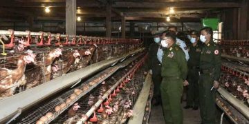 စစ်တပ်၏ ကြက်မွေးမြူရေးခြံတခြံသို့ မင်းအောင်လှိုင် သွားရောက်စစ်ဆေးစဉ်