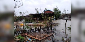 အမိုးကို တာပေါ်လင်စများဖြင့် မိုးထားရသော မြောက်ဦးက အိမ်တလုံး