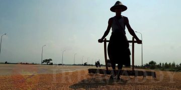 စိုက်စရိတ်ချေးငွေ ပြန်မဆပ်က ထောင်ချမည်ဟု စစ်ကောင်စီ ဖိအားပေး