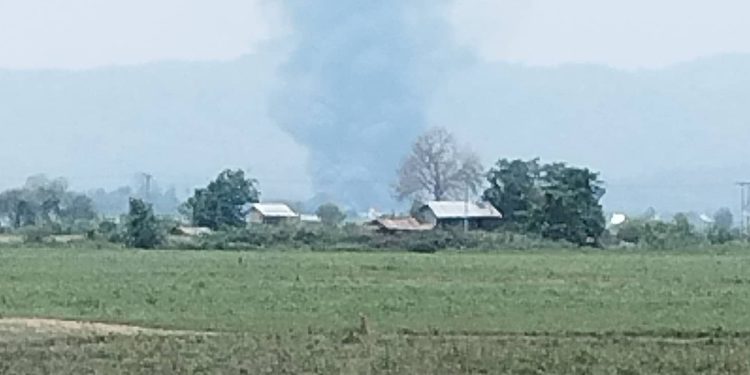 ဧပြီလ ၂၄ ရက်နေ့က တောမရွာအား မီးရှို့နေပုံ/ Tigyaing Revolution – TR