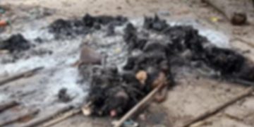 မီးရှို့သတ်ဖြတ်ခံထားရသည့် ရုပ်အလောင်းများ (ဓာတ်ပုံ - တောင်ငူခရိုင် ထန်းတပင်မြို့နယ် ပြည်သူ့ကာကွယ်ရေးအဖွဲ့)