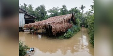 ကရင်နှင့်မွန်ပြည်နယ် မြို့နယ်တချို့၌ ရေကြီးရေလျှံမှုများ ဖြစ်နေ