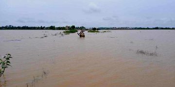 ရခိုင်တွင် ရေလွှမ်းမိုးမှုကြောင့် လယ်ဧကသောင်းချီ ပျက်စီး