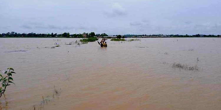 ရခိုင်တွင် ရေလွှမ်းမိုးမှုကြောင့် လယ်ဧကသောင်းချီ ပျက်စီး