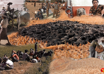 စစ်ပွဲနဲ့ ကုန်ဈေးနှုန်းကြားက စစ်ရှောင်တောင်သူတို့ရဲ့ ဘ၀