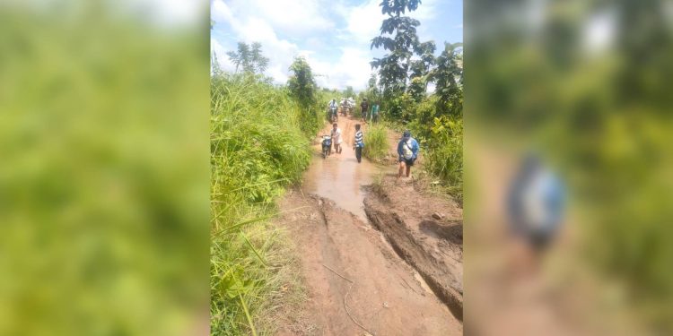 စားနပ်ရိက္ခာပြတ်လာသဖြင့် တမူးမြို့ကို စွန့်ခွာသူများရှိလာ