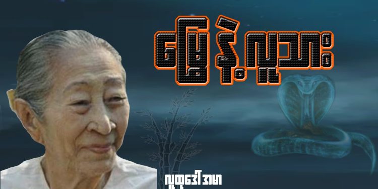 မြွေ နဲ့ လူသား