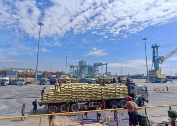 မီးခိုးကြောင့် ပြောင်းတင်သွင်းမှု ပိတ်ရန် ထိုင်းအစိုးရ စီစဉ်