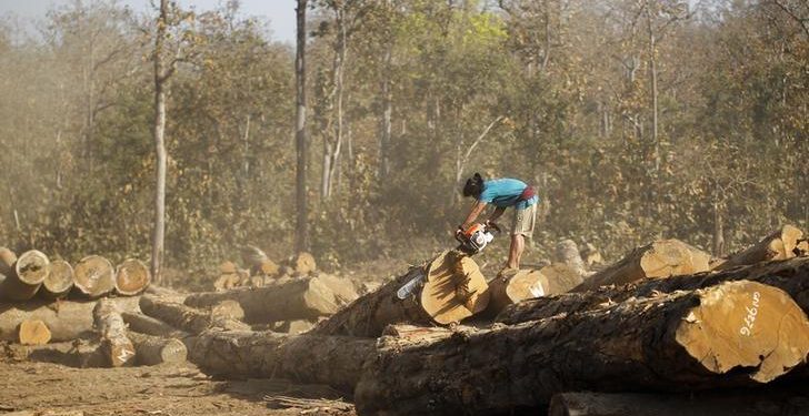 ဆန္ဒပြမှုအပြီး မော်လူးဒေသခံတို့အား တလအခွန်လွတ် သစ်ထုတ်ခွင့်ပြု