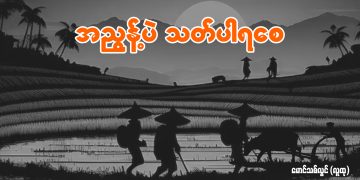 အညွန့်ပဲ သတ်ပါရစေ