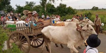 တန့်ဆည်အနောက်ခြမ်း ဒေသခံ ၁၁ ဦး စစ်ကြောင်းက သတ်ဖြတ်