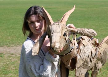 ရာသီဥတု ဖောက်ပြန်မှု သတိပေးဖို့ တောရိုင်းတိရစ္ဆာန် ရုပ်သေးရုပ်များ ကီလိုမီတာ ၂၀၀၀၀ ခန့် ခရီးရှည် ထွက်မယ်