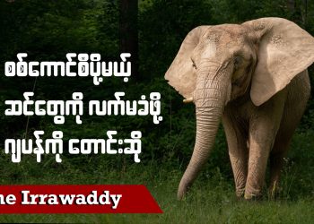စစ်ကောင်စီပို့မယ့် ဆင်တွေကို လက်မခံဖို့ ဂျပန်ကို တောင်းဆို (ရုပ်/သံ)