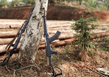 လူမျိုးစုအမျိုးသားရေးဝါဒနှင့် မြန်မာ့အနာဂတ်