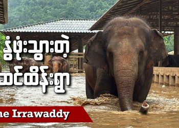 နွံဖုံးသွားတဲ့ ဆင်ထိန်းရွာ (ရုပ်/သံ)