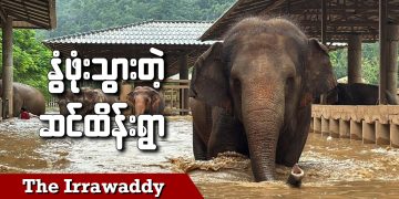 နွံဖုံးသွားတဲ့ ဆင်ထိန်းရွာ (ရုပ်/သံ)