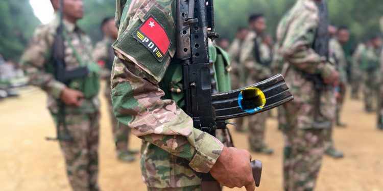 လူငယ် ခြေသွက် နွေဦးတပ်ဖွဲ့များ