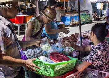 ကြက်ဥကို သတ်မှတ်ဈေးဖြင့် မရောင်းပါက ဖမ်းမည်ဟု ခြိမ်းခြောက်