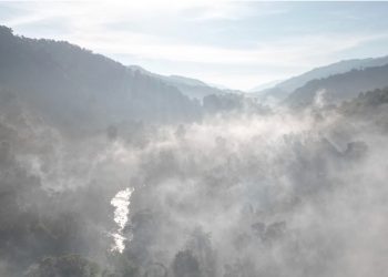 ပြည်တွင်းစစ်အတွင်း “သောသီတောအူး” ဌာနေလူမျိုးစုများဥယျာဉ်သစ် ဖွင့်လှစ်