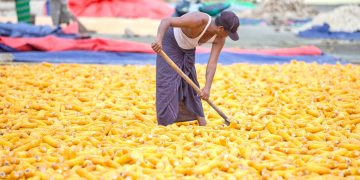 ထိုင်းဈေးကွက်ဖွင့်သော်လည်း မြန်မာပြောင်း တွက်ခြေမကိုက်