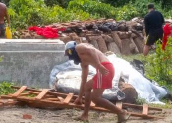 တမူးခရိုင် ပကဖတွေ ဘယ်လိုအသတ်ခံခဲ့ရလဲ