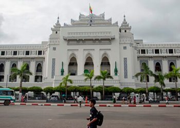 သက်တမ်းရင့် အပင်ကြီးများကို ခုတ်ရောင်းပြီး ရန်ကုန် စည်ပင် ငွေရှာနေသလား