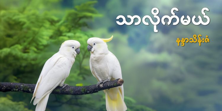 သာလိုက်မယ်