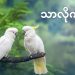 သာလိုက်မယ်