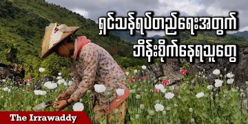 ရှင်သန်ရပ်တည်ရေးအတွက် ဘိန်းစိုက်နေရသူတွေ (ရုပ်/သံ)